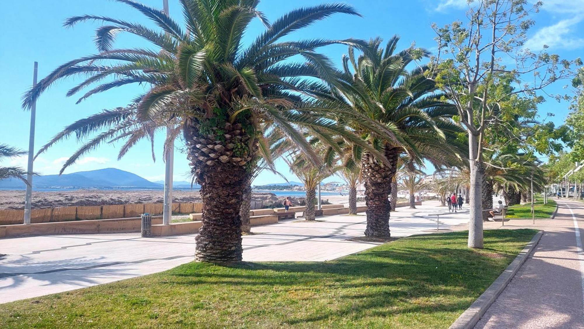 Lovealghero Stanze In Attico Vista Mare ภายนอก รูปภาพ